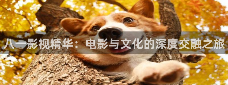金牌影院怎么下载电影