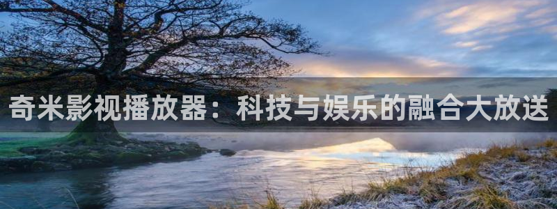 金牌特遣队电影免费观看
