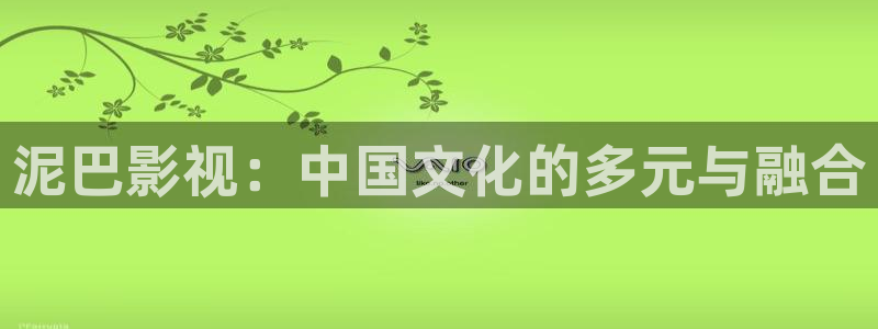 小欢喜金牌影院