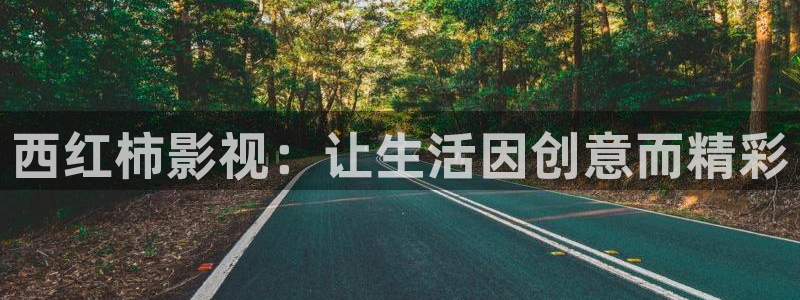 金牌影视免费看：西红柿影视：让生活因创意而精彩