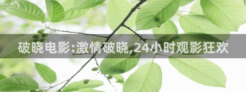 金牌影视在线观看免费高清全集：破晓电影:激情破晓,24小时观影狂欢