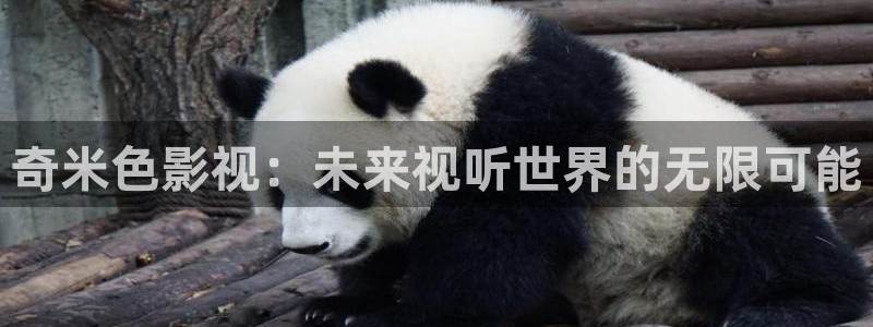 金牌女王电影免费完整版：奇米色影视：未来视听世界的无限可能